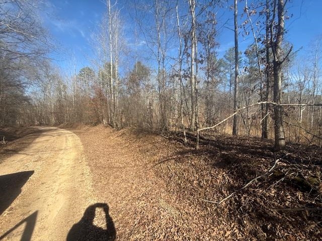 1 George Walter Road Bolivar, TN 38008 - Photo 7 of 14 a view of a backyard