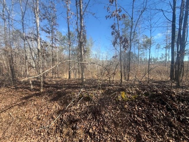 1 George Walter Road Bolivar, TN 38008 - Photo 8 of 14 a view of a large yard with lots of green space