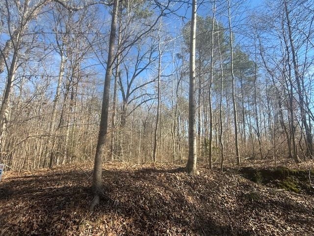 1 George Walter Road Bolivar, TN 38008 - Photo 8 of 14 a backyard of a house