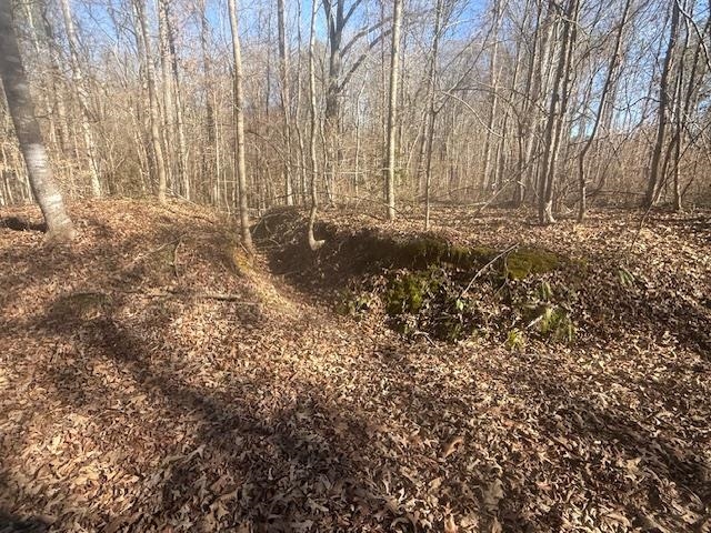 1 George Walter Road Bolivar, TN 38008 - Photo 9 of 14