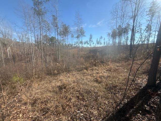 1 George Walter Road Bolivar, TN 38008 - Photo 10 of 14 a view of a yard