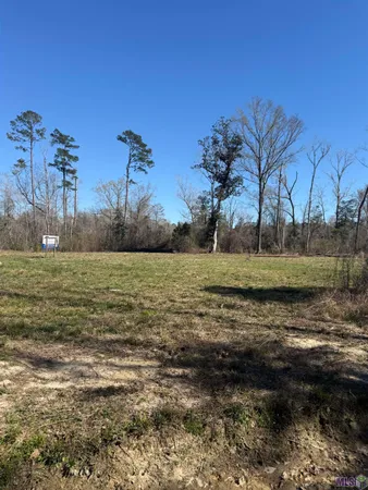 $28,000 | Lot 2 Music Lane, Springfield, LA 70462