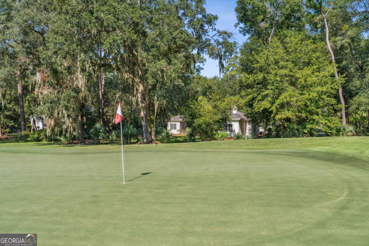 150 Rice Mill St. Simons Island, GA 31522 - Photo 38 of 38 a view of a trees in front of a yard