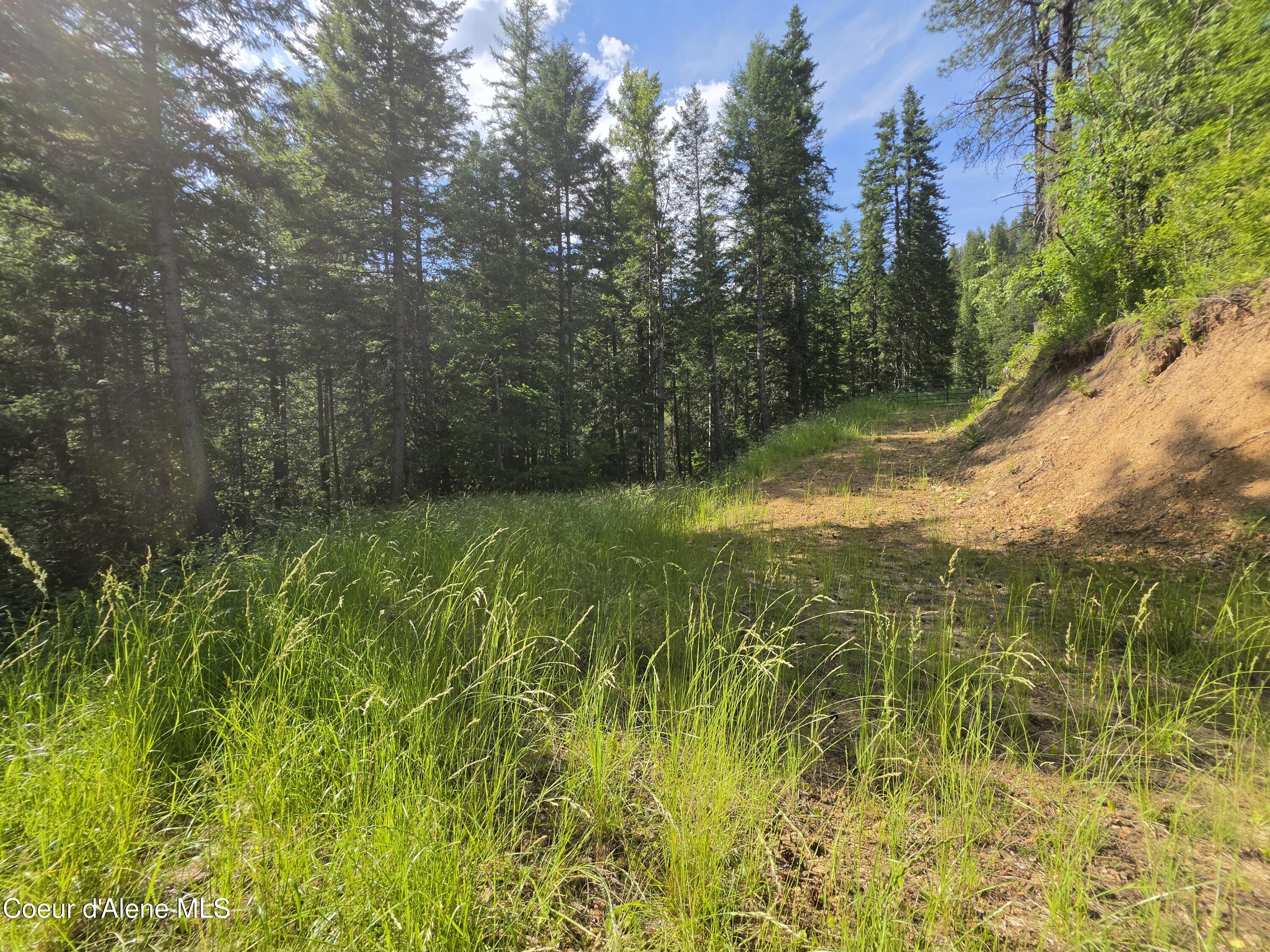 480 Dunn Peak Road Avery, ID 83802 - Photo 24 of 66 1st Building site