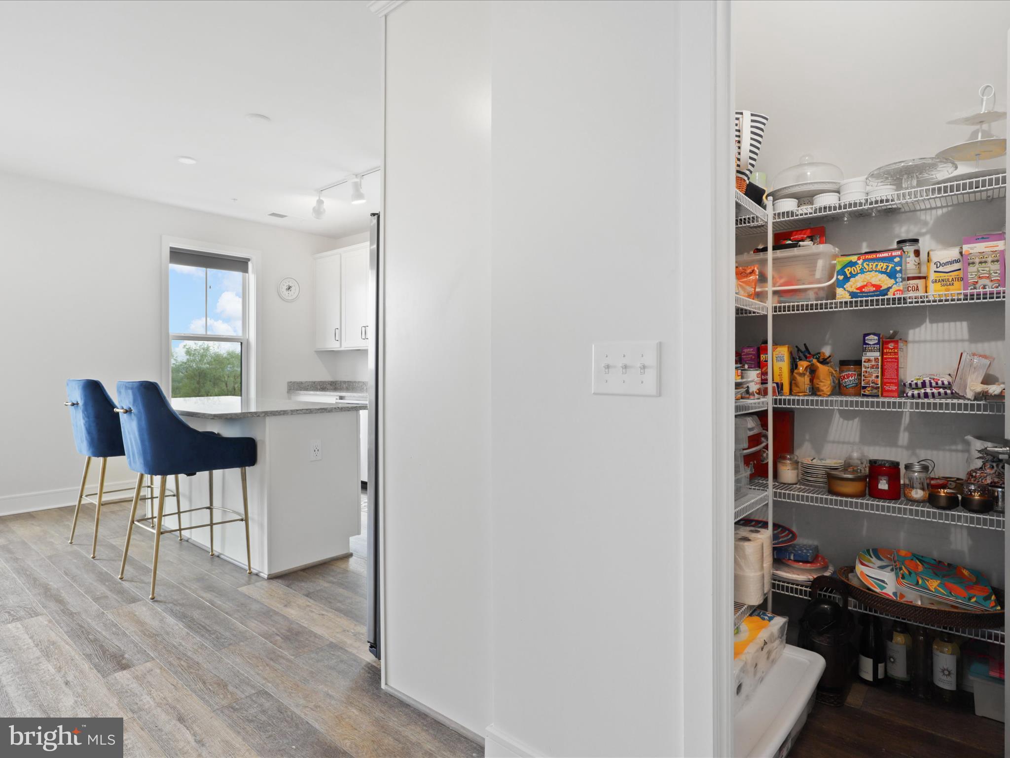 20789 Lamlash Terrace Ashburn, VA 20147 - Photo 21 of 46