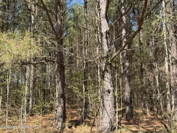 $294,757 | 4102 County Road, Goodman, MS 39079