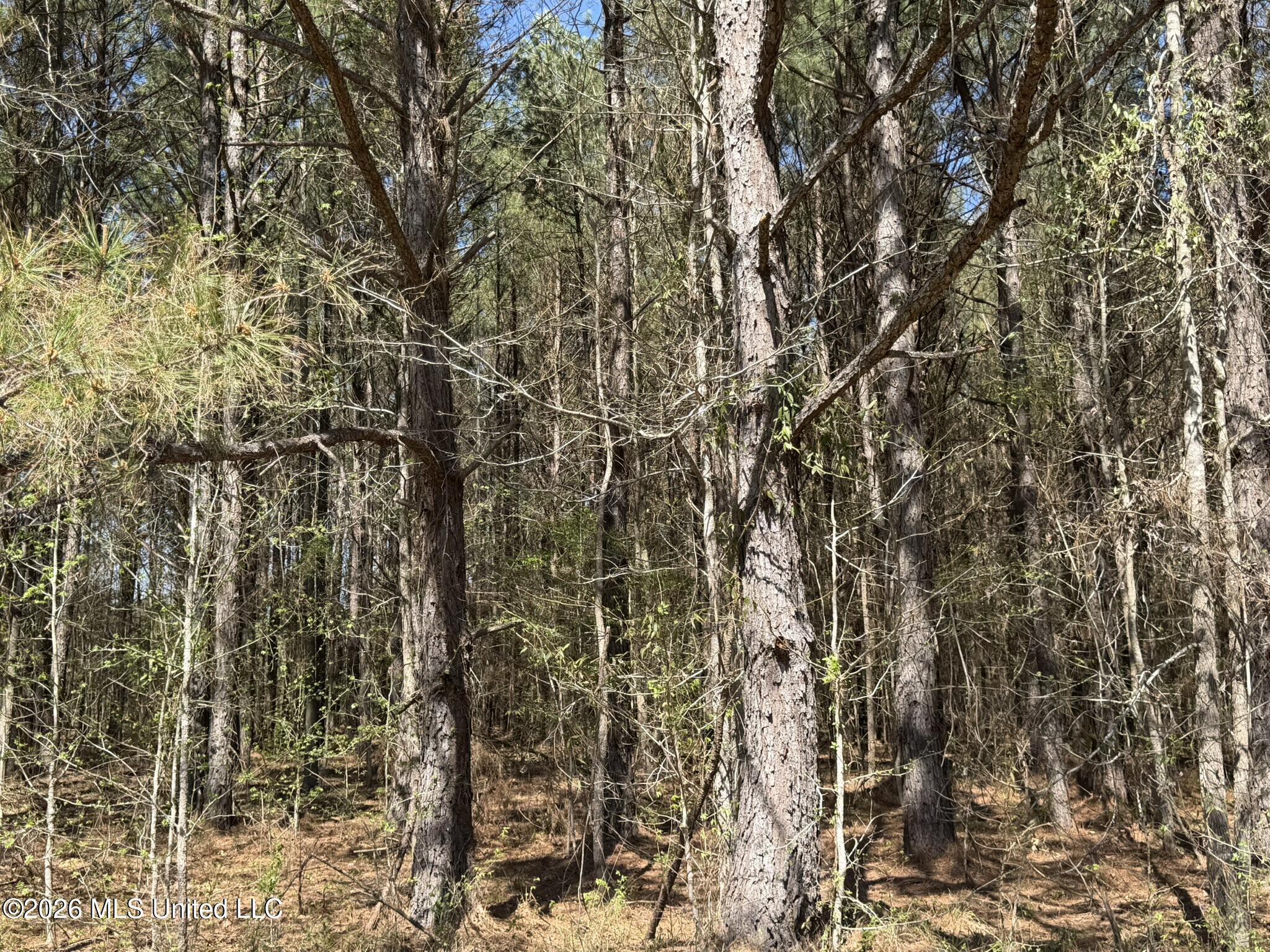 4102 County Road Goodman, MS 39079 - Photo 12 of 22 IMG_0504