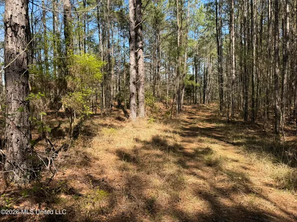 $294,757 | 4102 County Road, Goodman, MS 39079