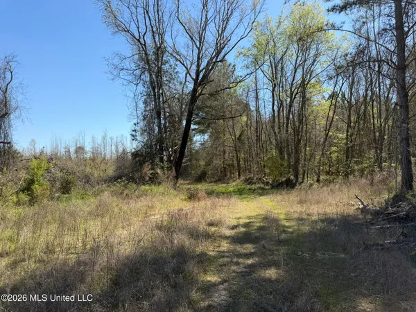 $294,757 | 4102 County Road, Goodman, MS 39079