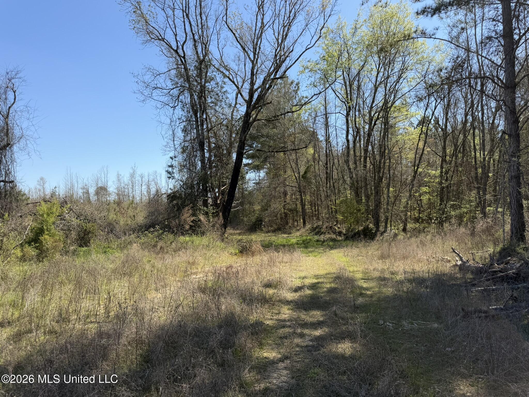 4102 County Road Goodman, MS 39079 - Photo 14 of 22 IMG_0506