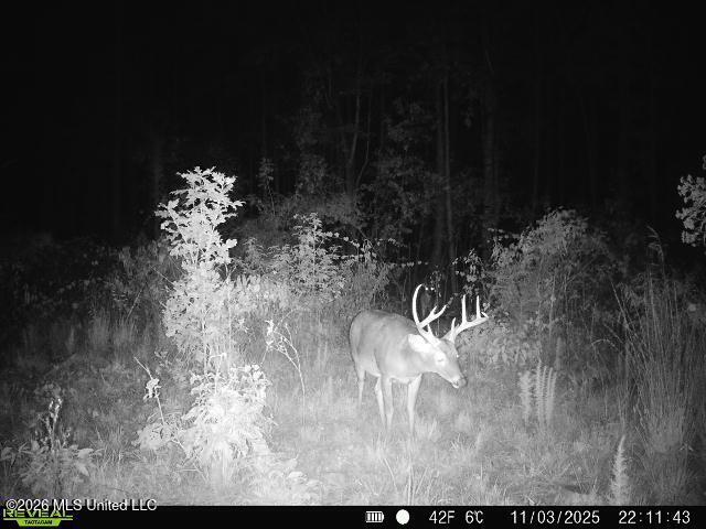 4102 County Road Goodman, MS 39079 - Photo 16 of 22 868032068765373-100-2-11032025221142-W10