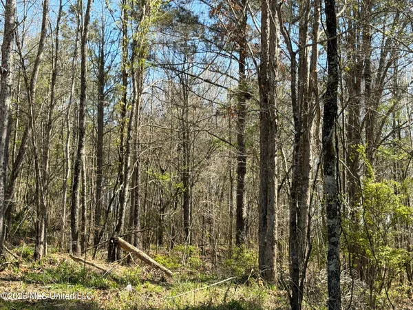 $294,757 | 4102 County Road, Goodman, MS 39079