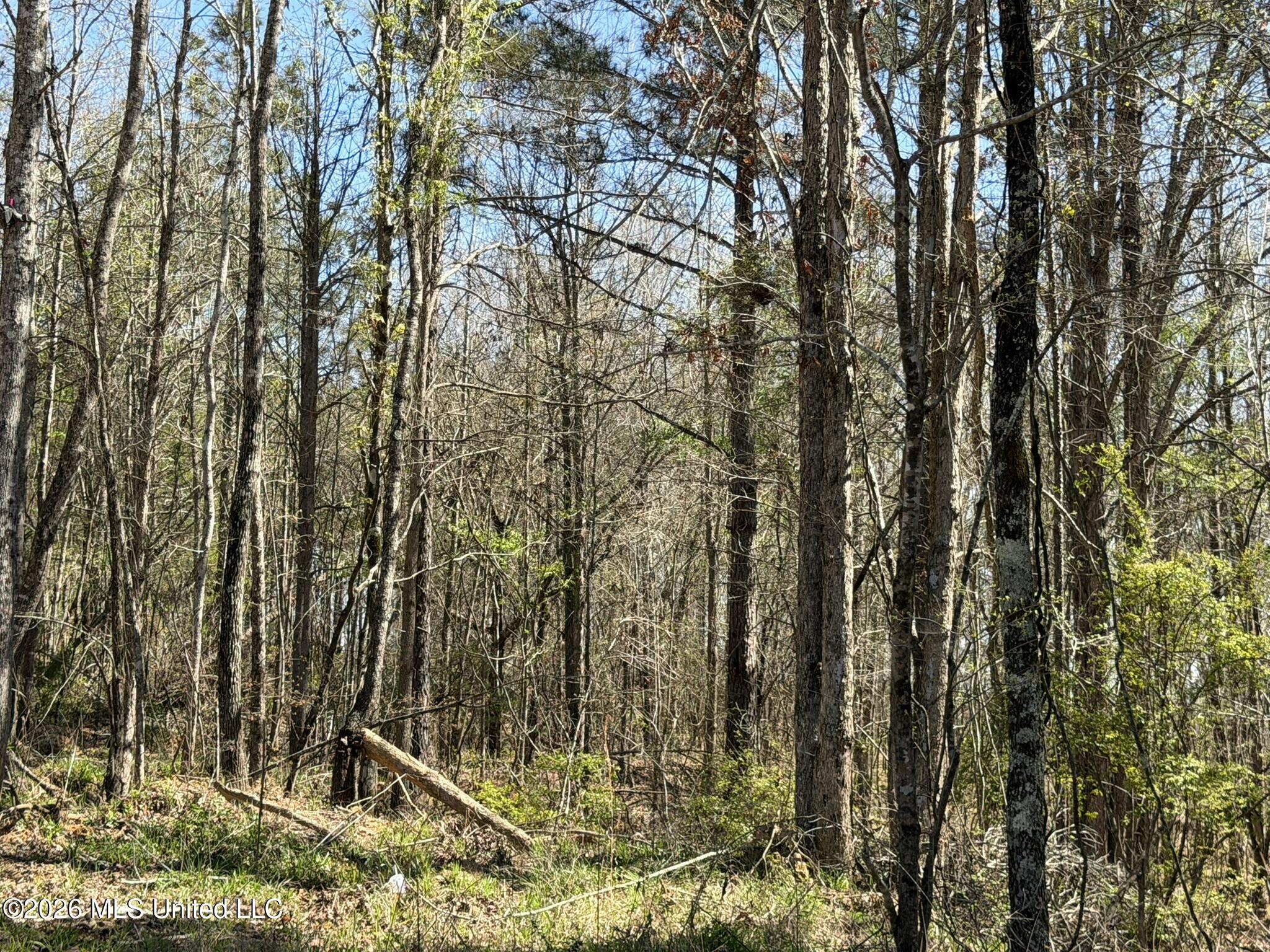 4102 County Road Goodman, MS 39079 - Photo 18 of 22 IMG_0511