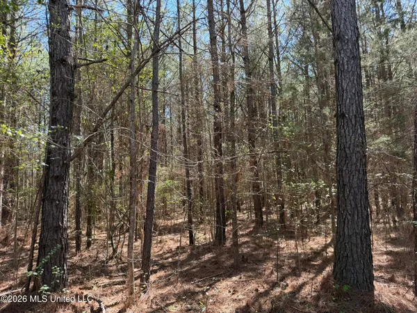 $294,757 | 4102 County Road, Goodman, MS 39079