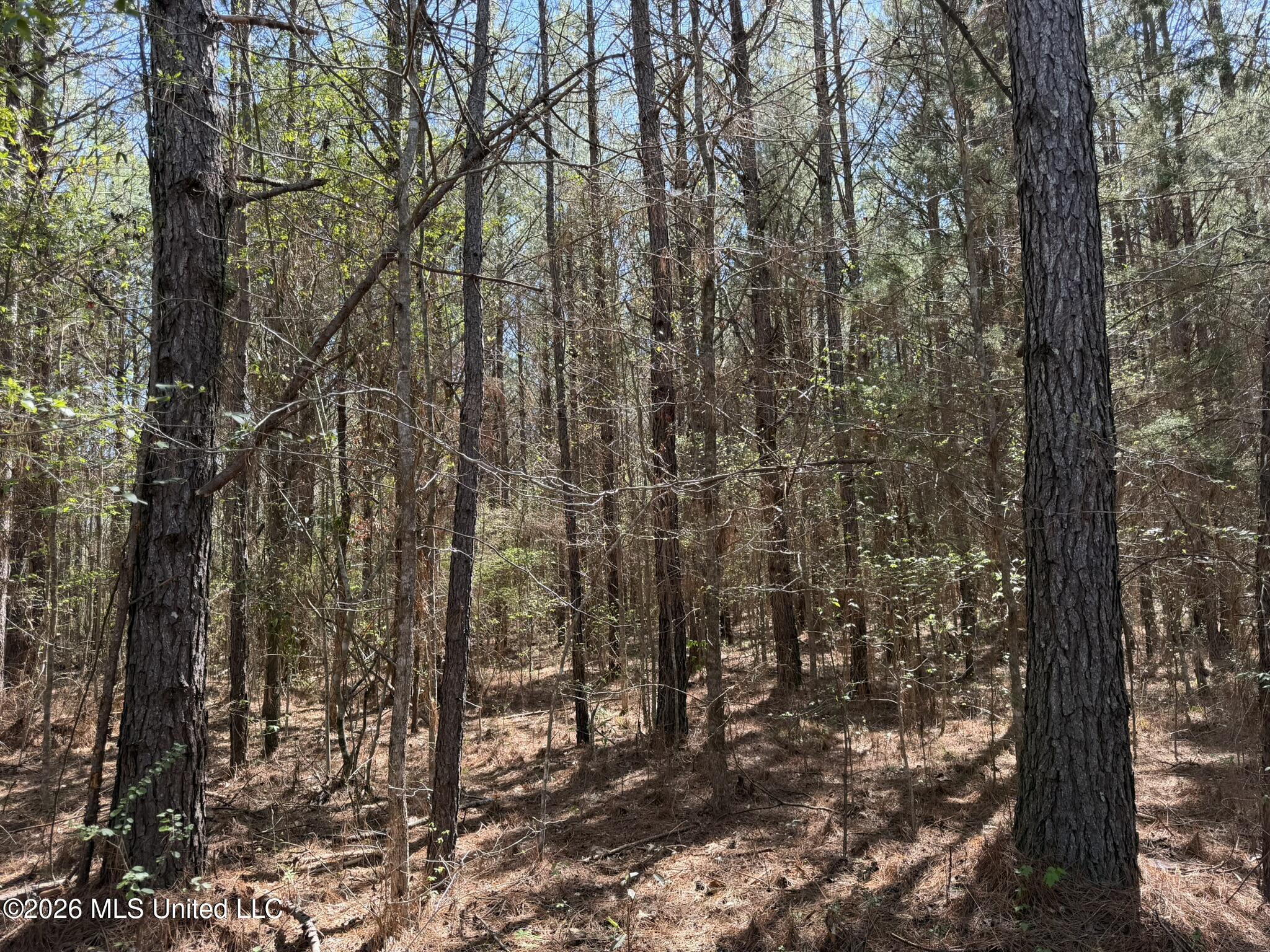 4102 County Road Goodman, MS 39079 - Photo 2 of 22 IMG_0493