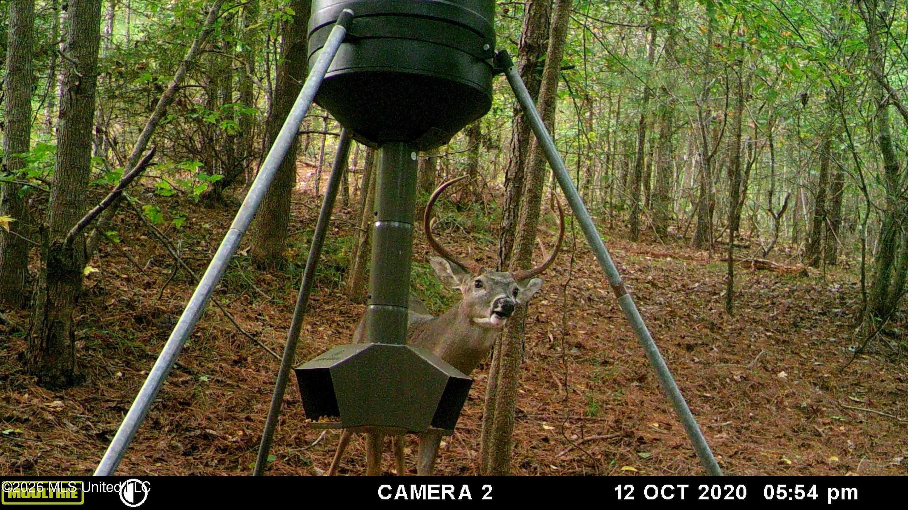 4102 County Road Goodman, MS 39079 - Photo 21 of 22 IMG_3429