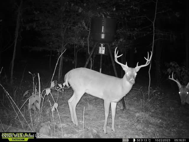 4102 County Road Goodman, MS 39079 - Photo 22 of 22 IMG_9156