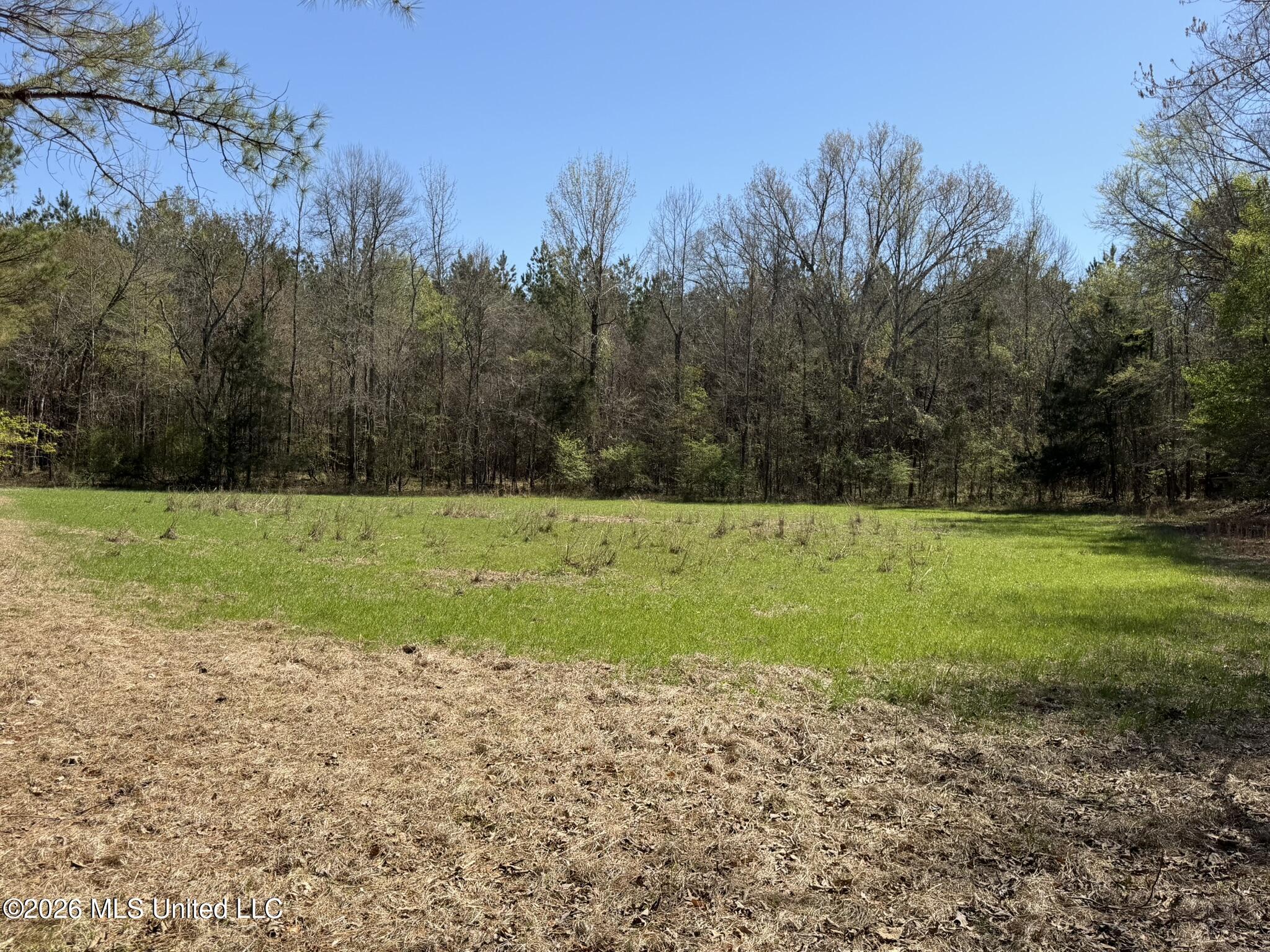 4102 County Road Goodman, MS 39079 - Photo 3 of 22 IMG_0494