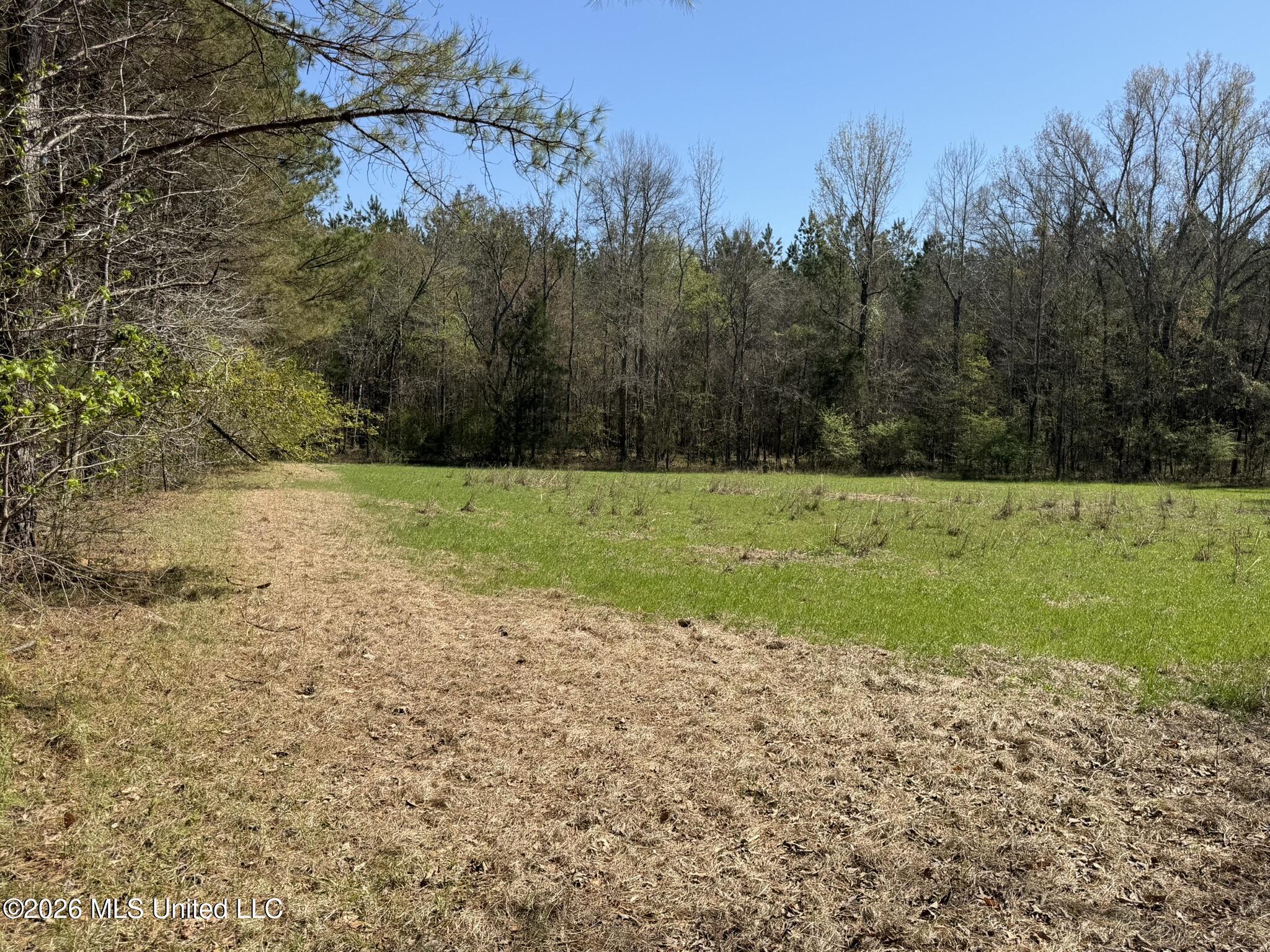 4102 County Road Goodman, MS 39079 - Photo 4 of 22 IMG_0495