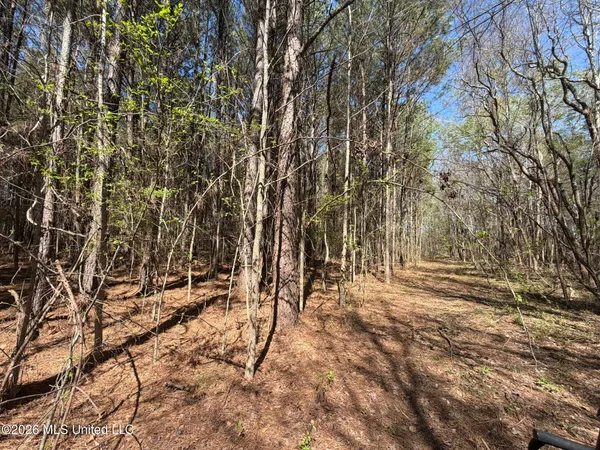 $294,757 | 4102 County Road, Goodman, MS 39079