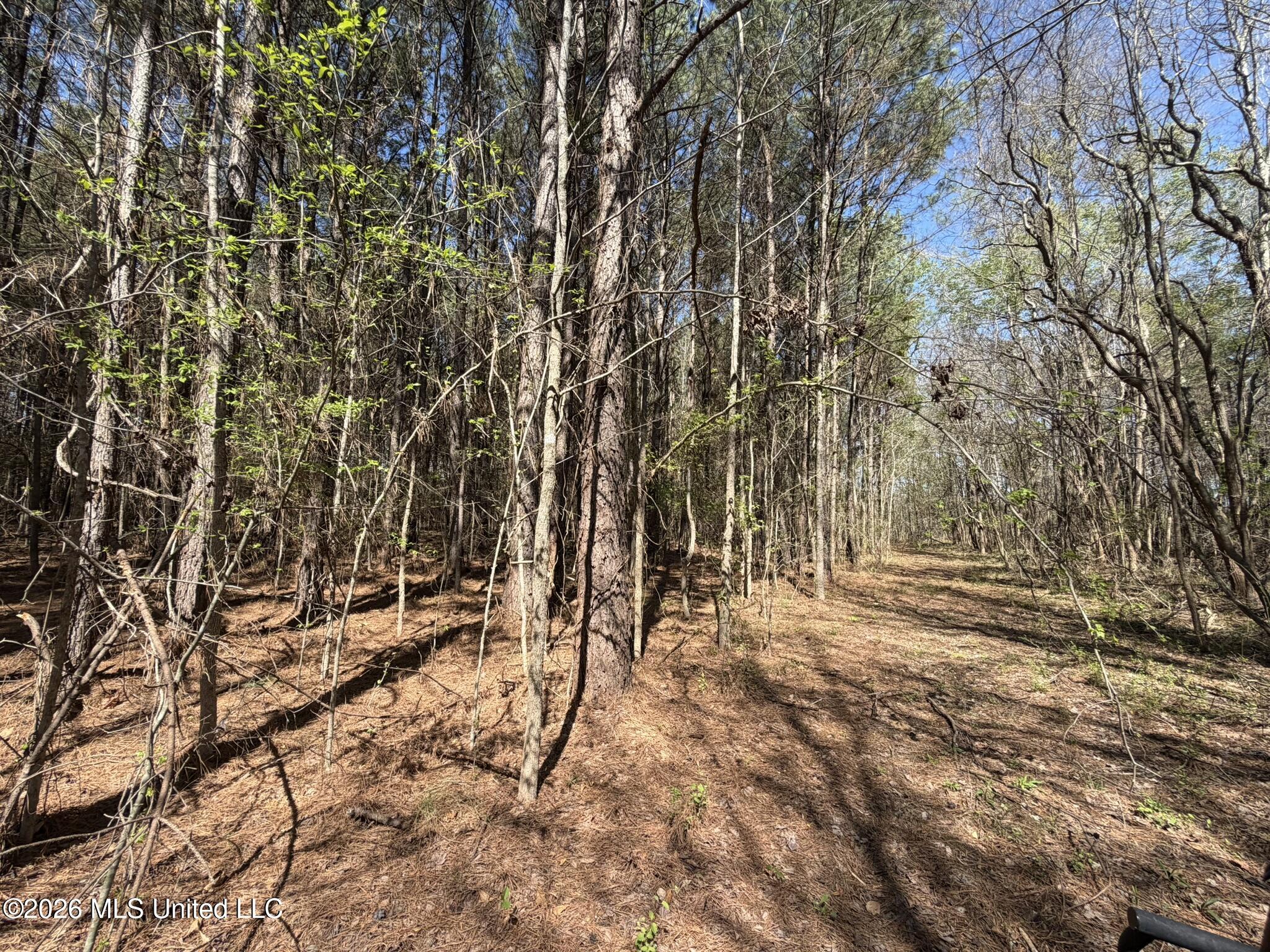 4102 County Road Goodman, MS 39079 - Photo 5 of 22 IMG_0496