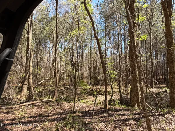 $294,757 | 4102 County Road, Goodman, MS 39079