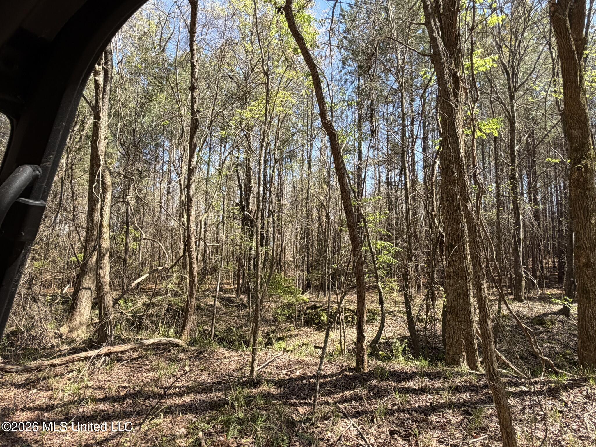 4102 County Road Goodman, MS 39079 - Photo 6 of 22 IMG_0497