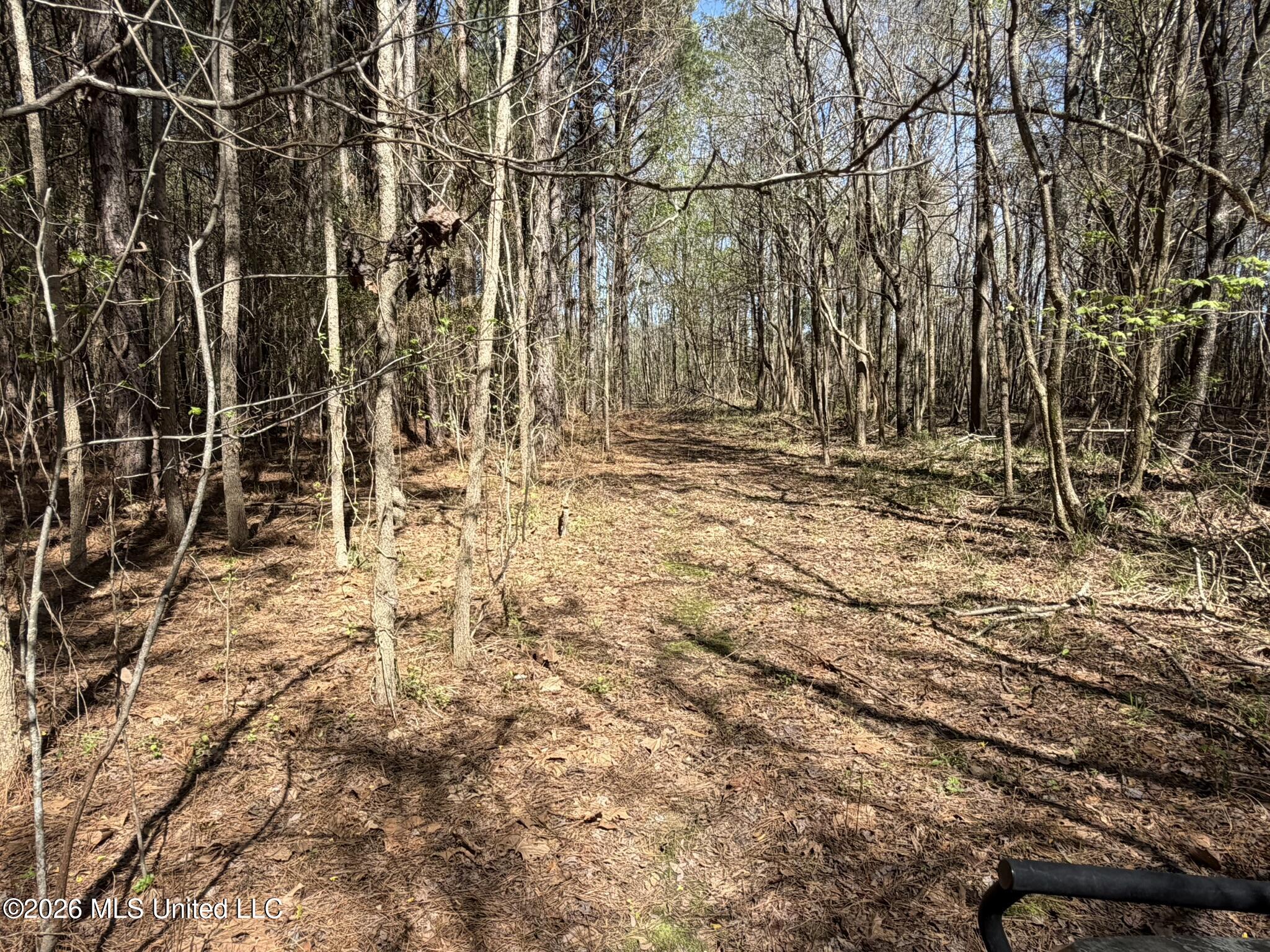 4102 County Road Goodman, MS 39079 - Photo 7 of 22 IMG_0498