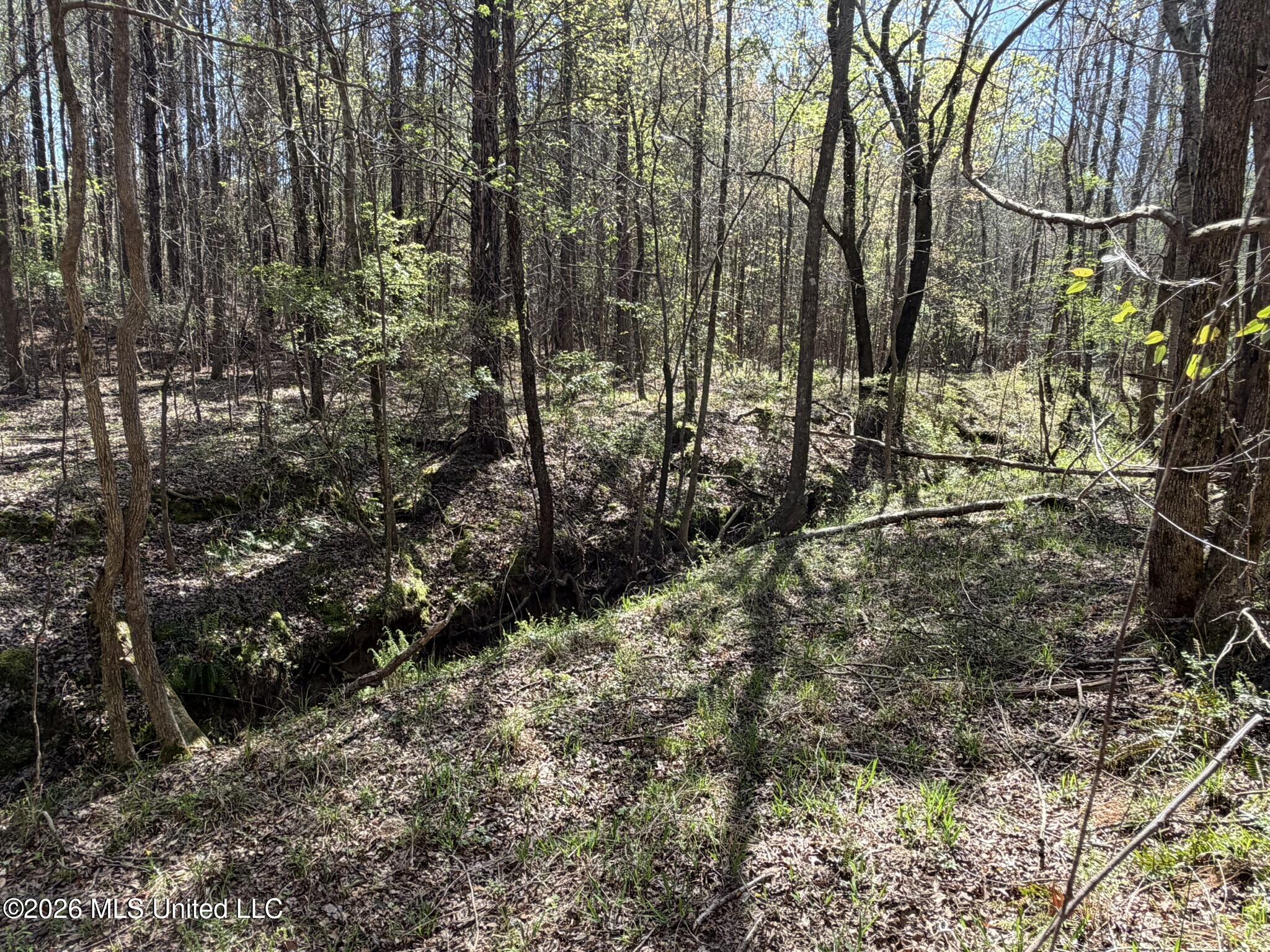 4102 County Road Goodman, MS 39079 - Photo 8 of 22 IMG_0499