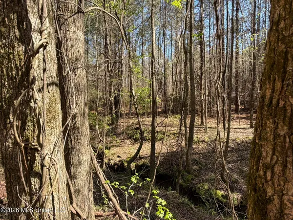$294,757 | 4102 County Road, Goodman, MS 39079