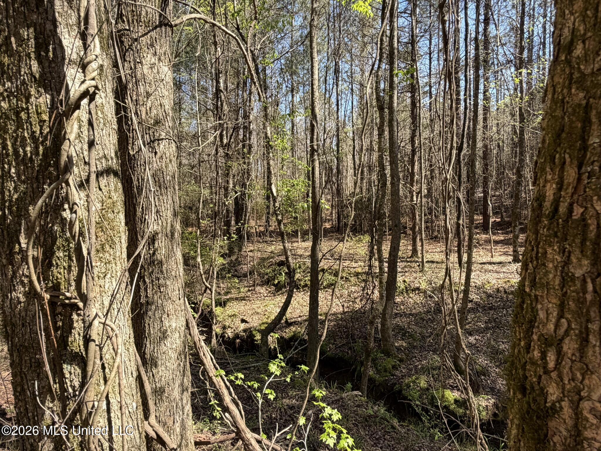 4102 County Road Goodman, MS 39079 - Photo 9 of 22 IMG_0500