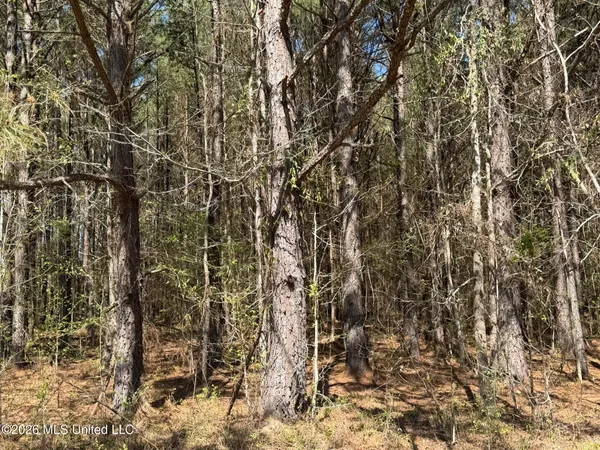 $294,757 | 4102 County Road, Goodman, MS 39079