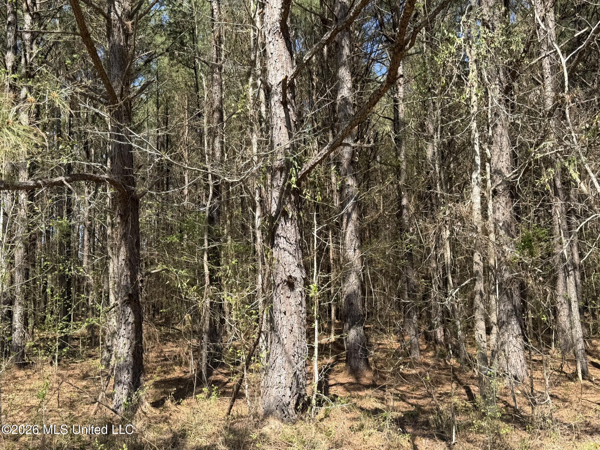 4102 County Road Goodman, MS 39079 - Photo 10 of 22 IMG_0503