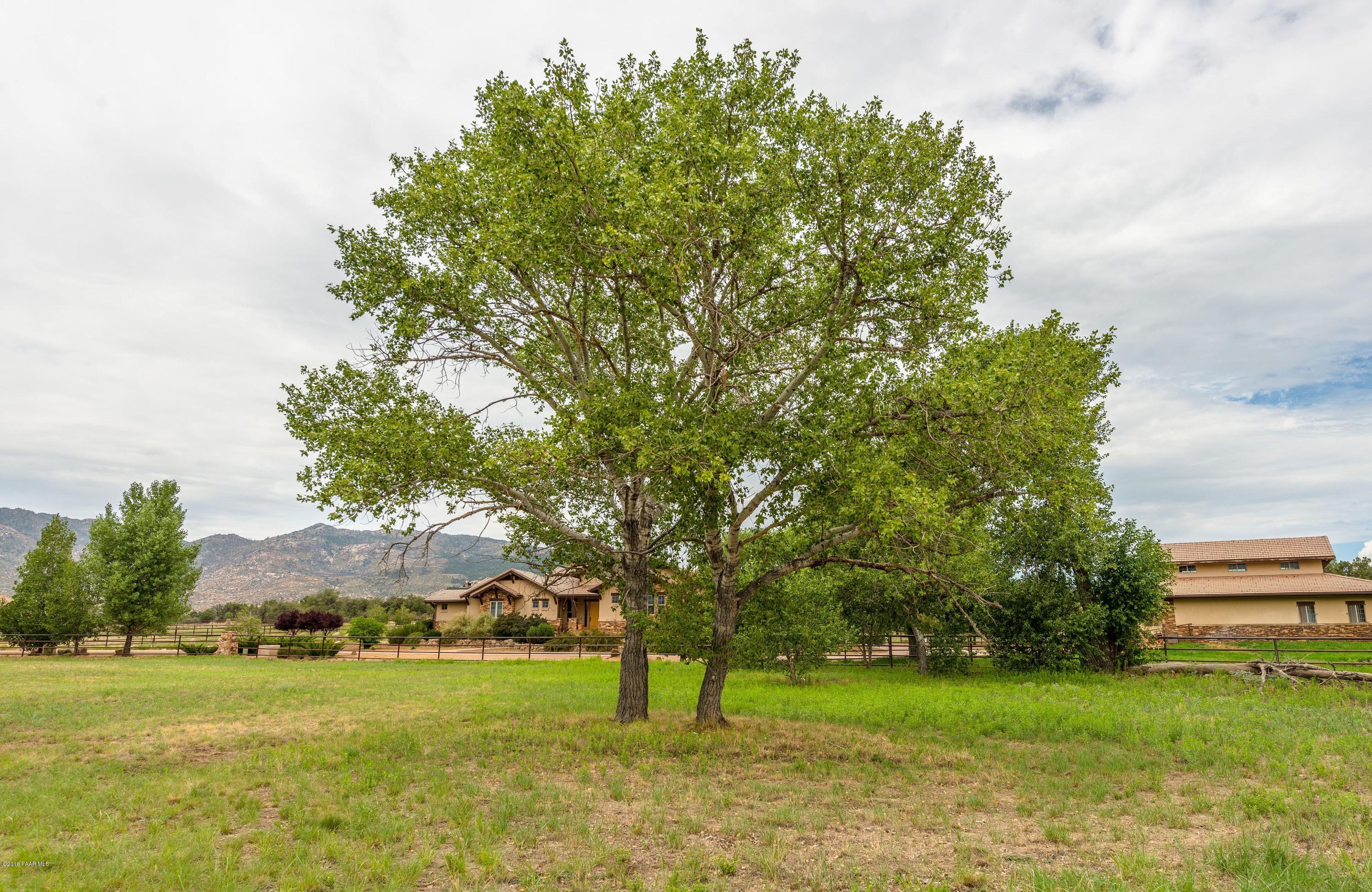 9960 North American Ranch Road Prescott, AZ 86305 - Photo 4 of 15 004_Trees on Lot