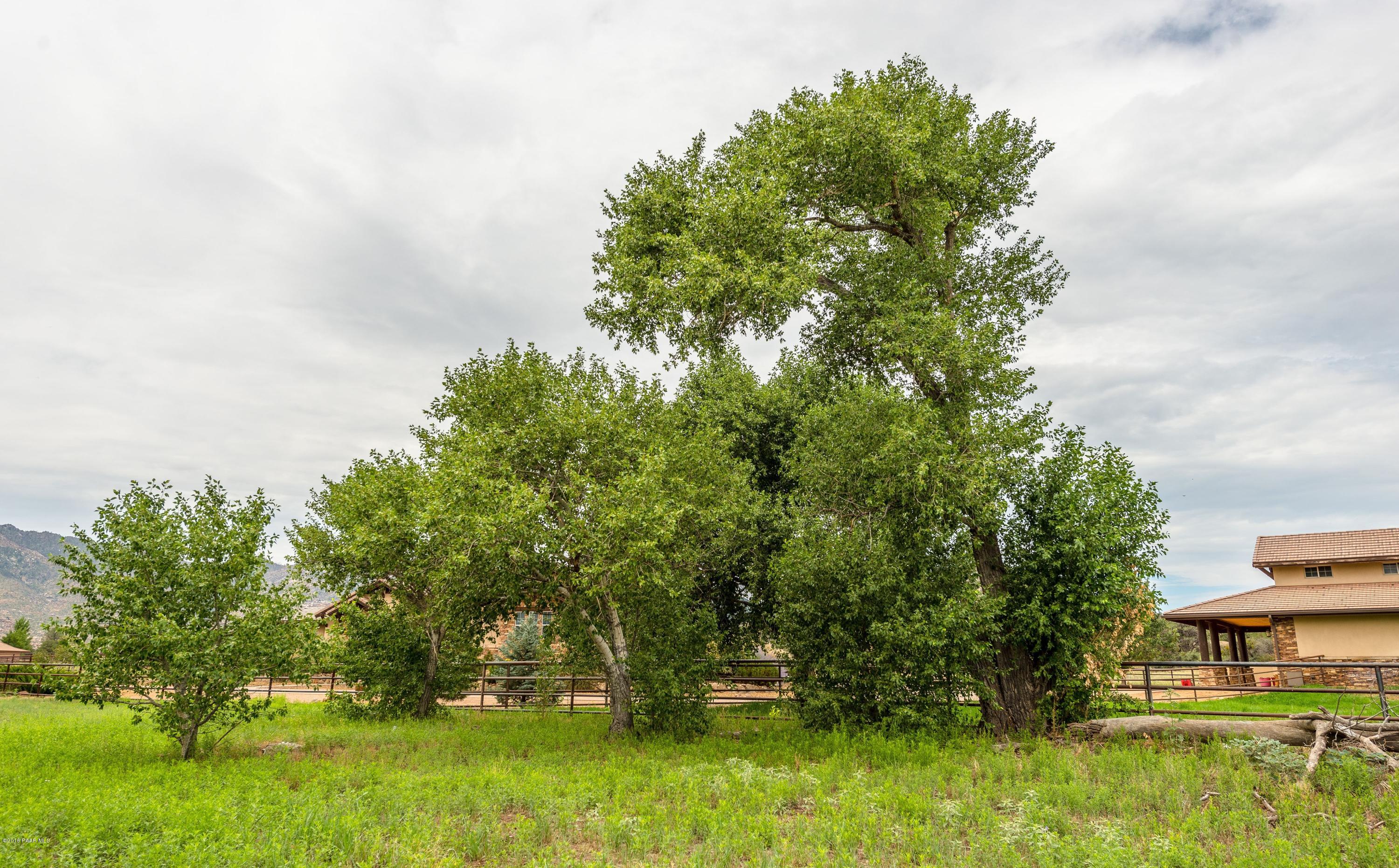 9960 North American Ranch Road Prescott, AZ 86305 - Photo 6 of 15 006_Trees on Lot