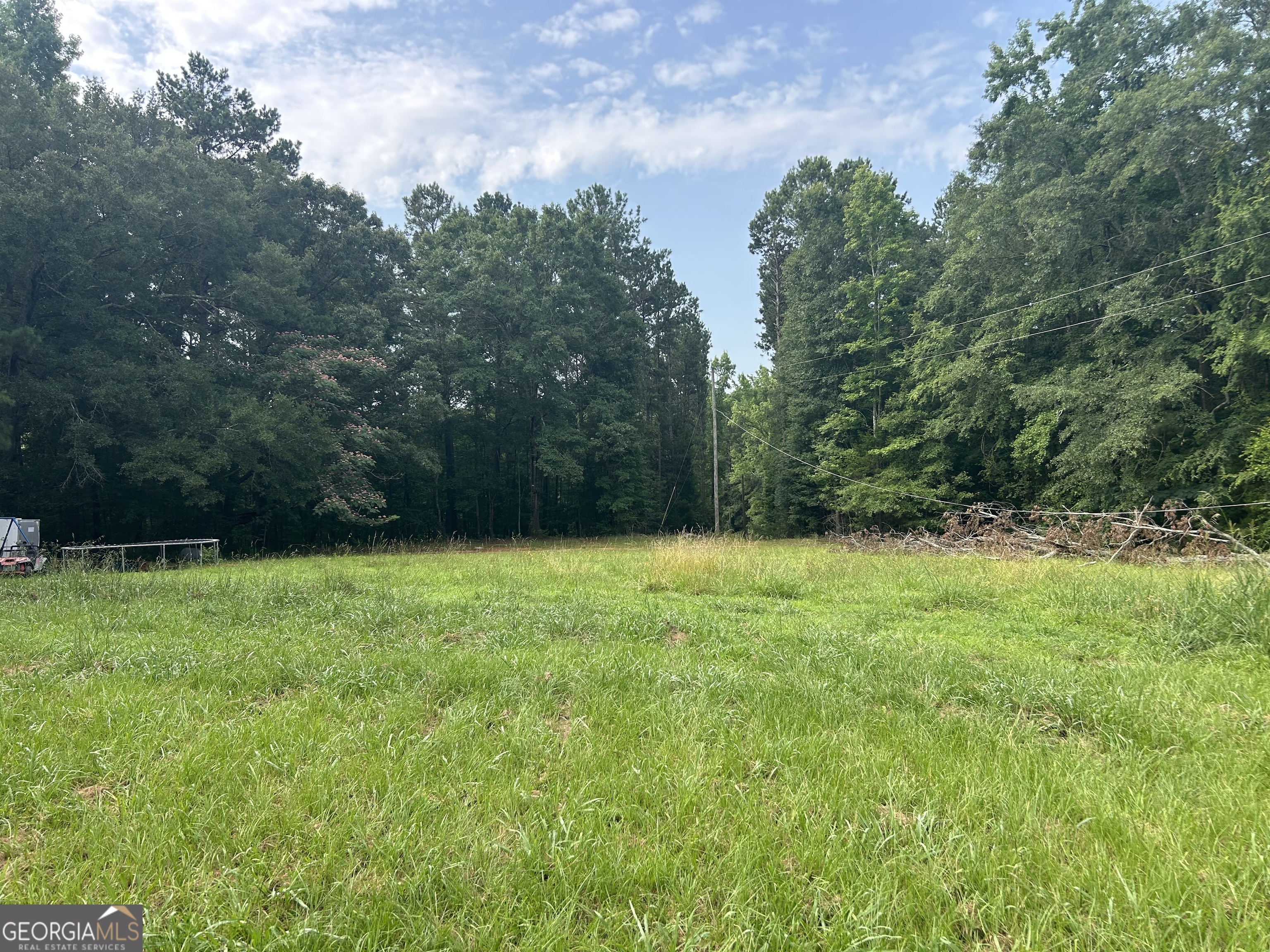 134 Mauldin Road Thomaston, GA 30286 - Photo 3 of 7