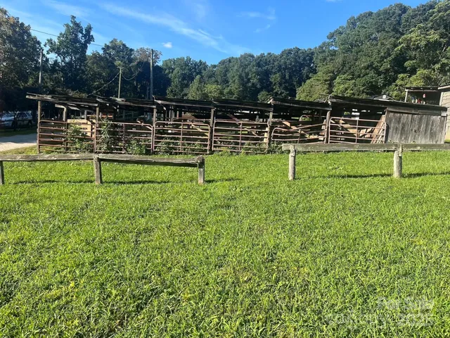 a view of a yard with a bench
