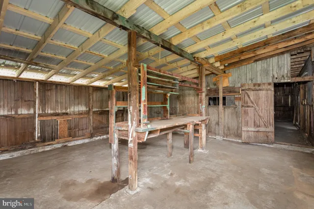 a view of a park with large trees