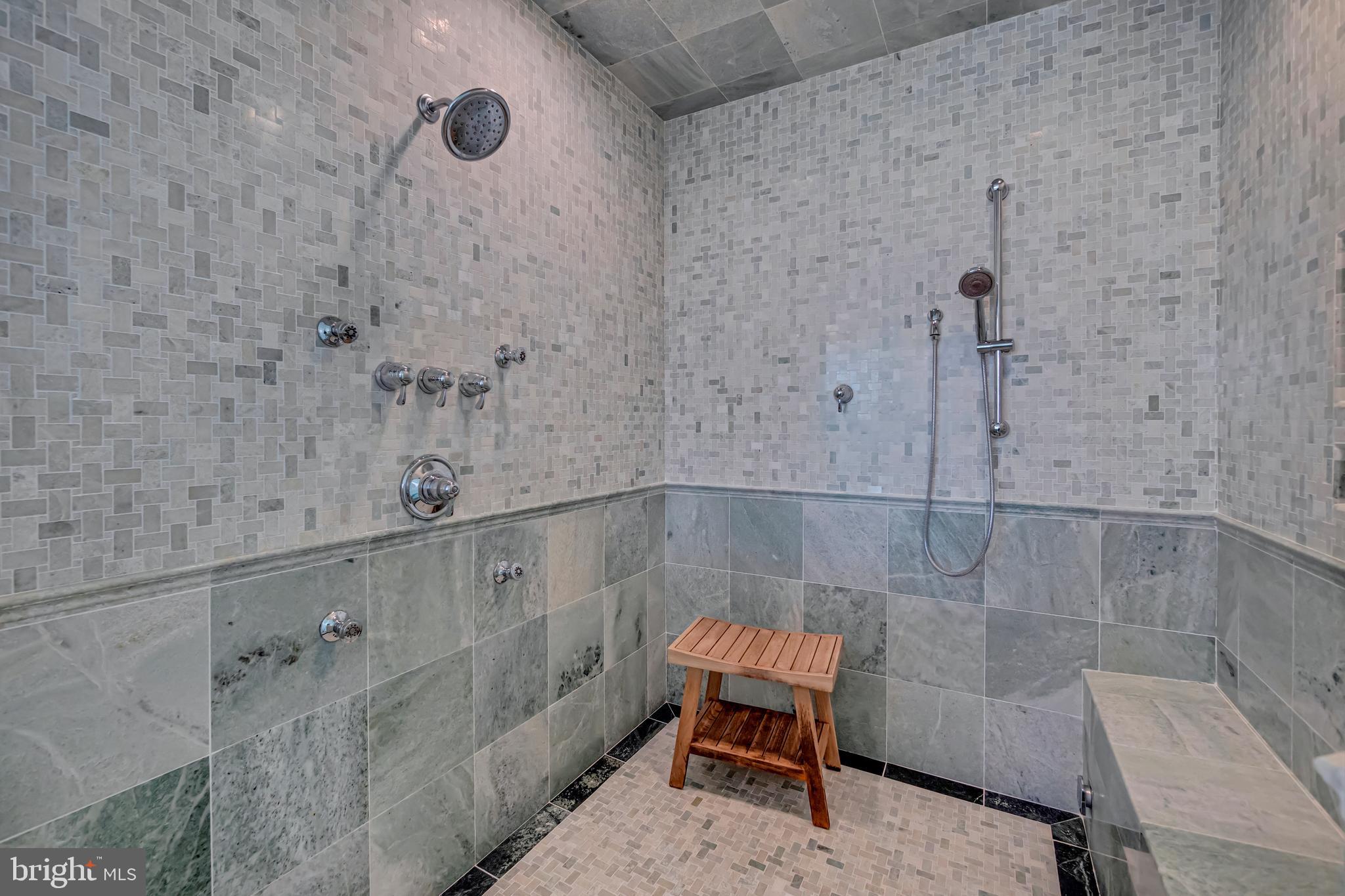 2586 Rambling Road Vienna, VA 22181 - Photo 41 of 51 Spa shower