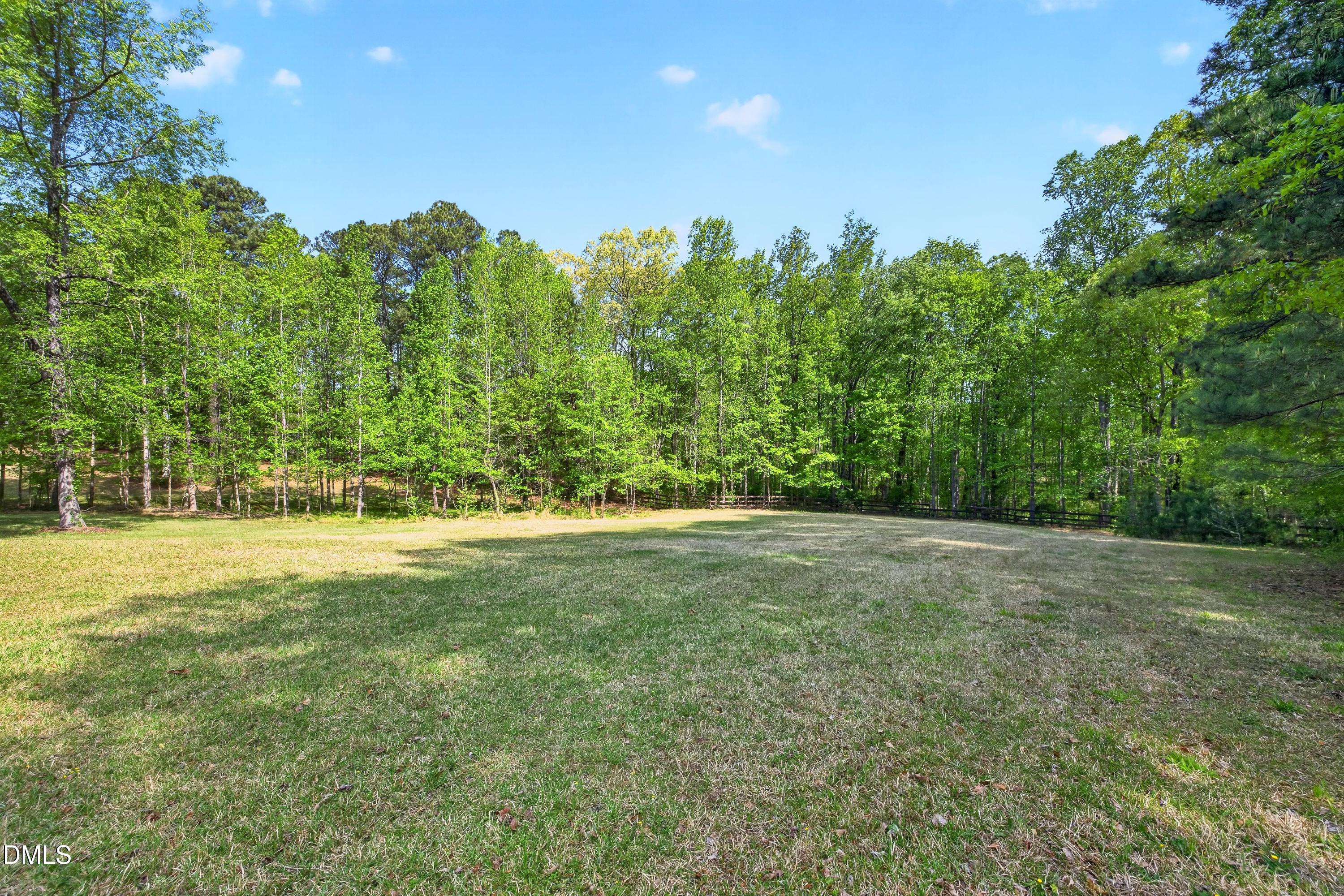 3208 Pleasant Plains Road Apex, NC 27502 - Photo 81 of 100 Scene-89
