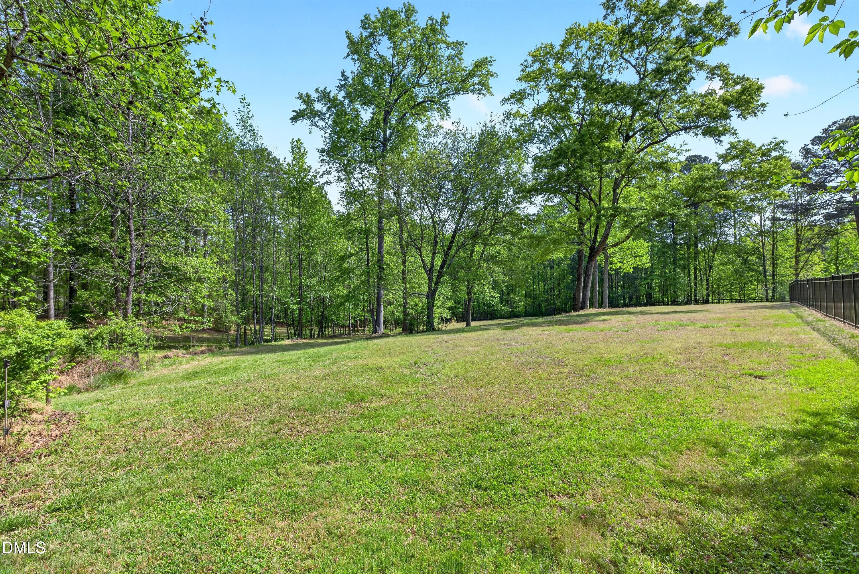 3208 Pleasant Plains Road Apex, NC 27502 - Photo 82 of 100 Scene-88