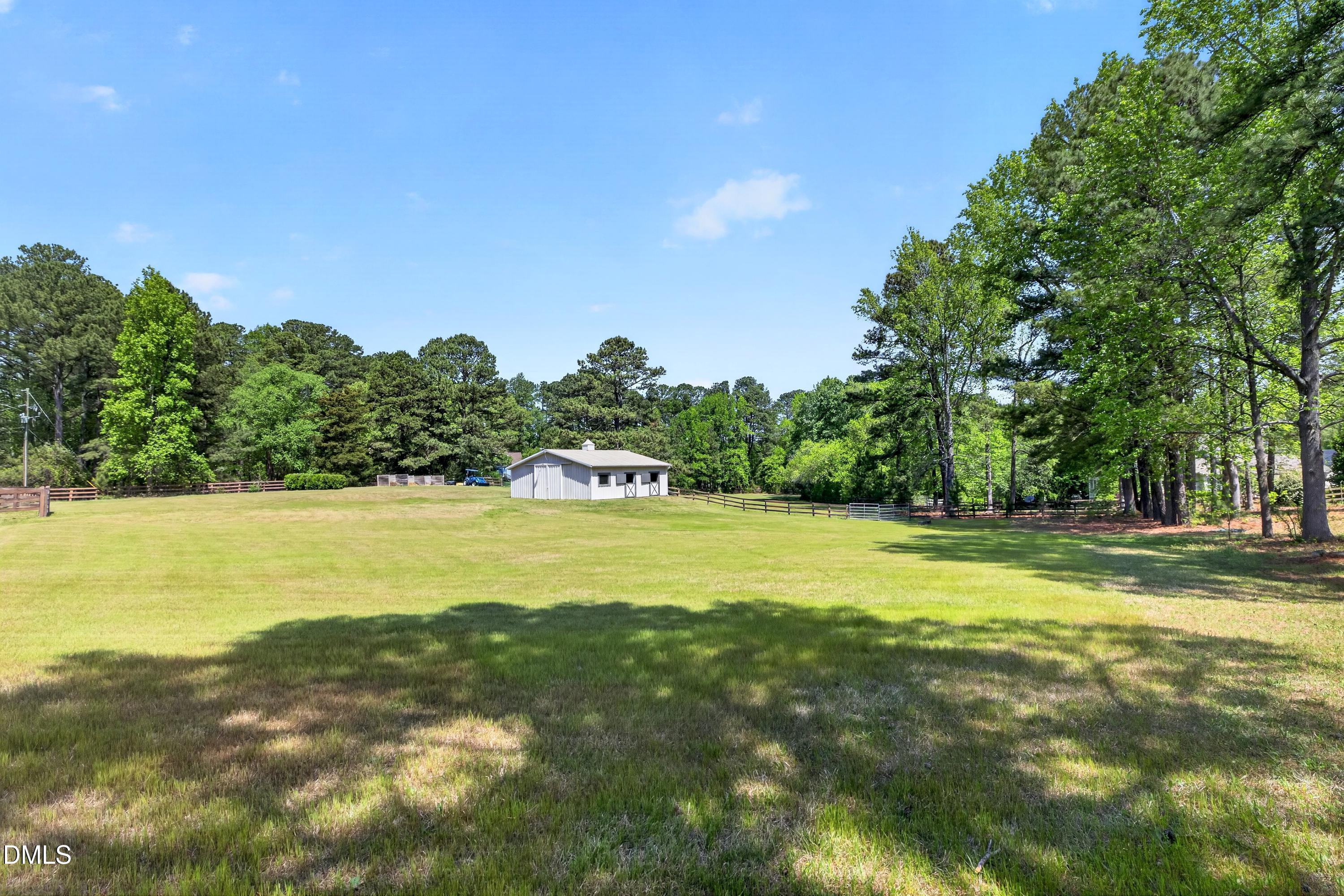 3208 Pleasant Plains Road Apex, NC 27502 - Photo 85 of 100 Scene-100