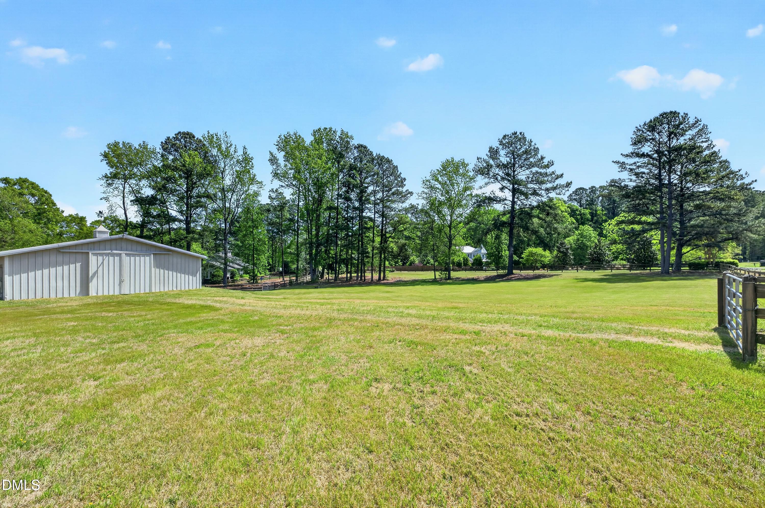 3208 Pleasant Plains Road Apex, NC 27502 - Photo 89 of 100 Scene-96