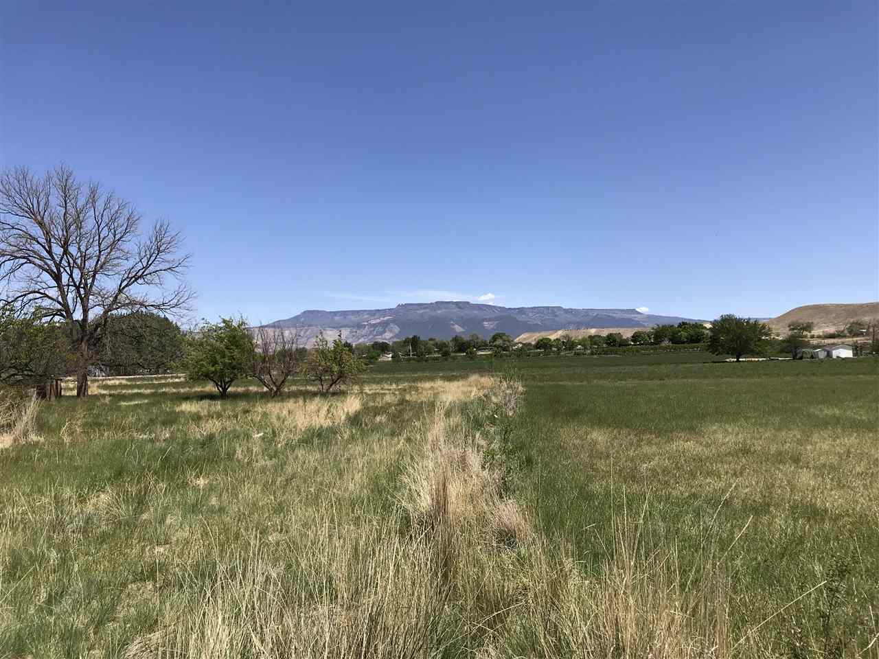 236 32 Road Grand Junction, CO 81503 - Photo 2 of 35 Gallery Image 2