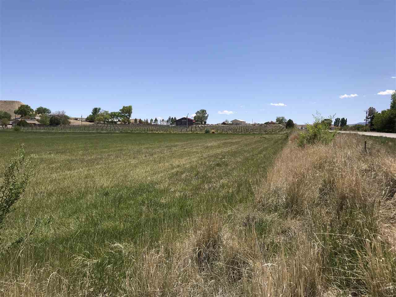 236 32 Road Grand Junction, CO 81503 - Photo 3 of 35 Gallery Image 3