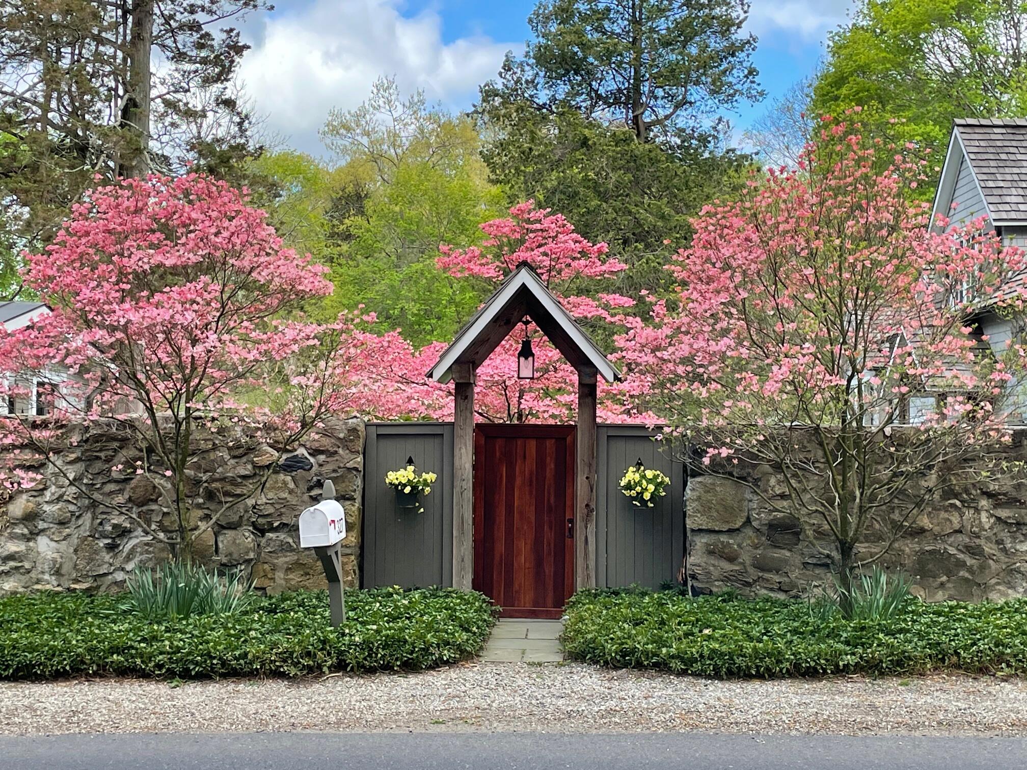 a front view of a house with a yard and tree s
