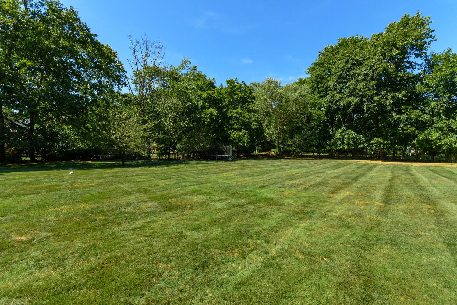 327 Hollow Tree Ridge Road Darien, CT 06820 - Photo 34 of 37 a view of outdoor space with a garden