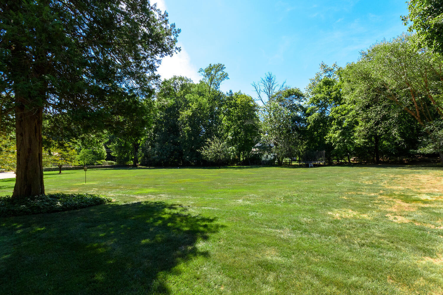 327 Hollow Tree Ridge Road Darien, CT 06820 - Photo 35 of 37 a view of a grassy field with trees
