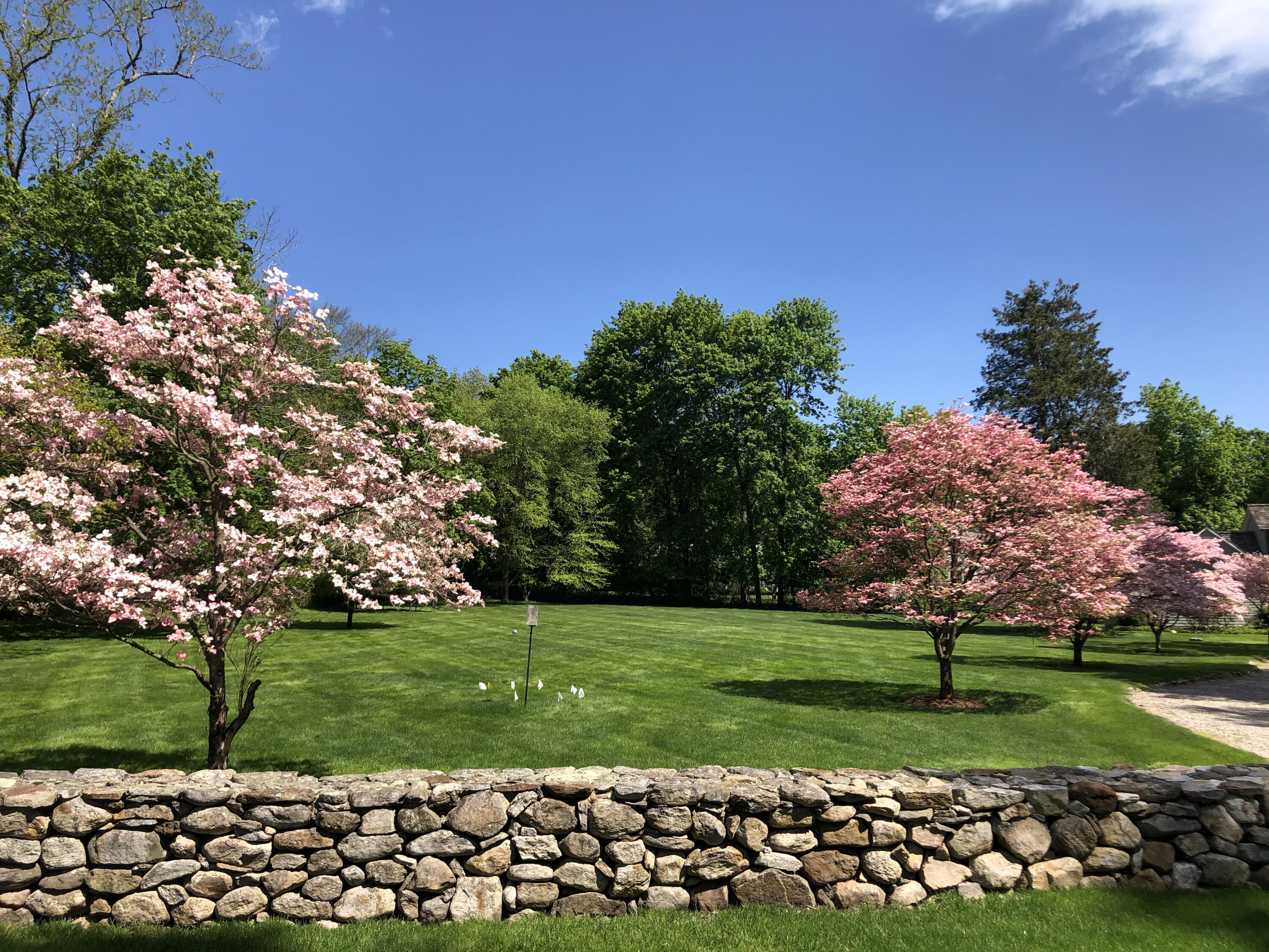 327 Hollow Tree Ridge Road Darien, CT 06820 - Photo 36 of 37 a view of a park