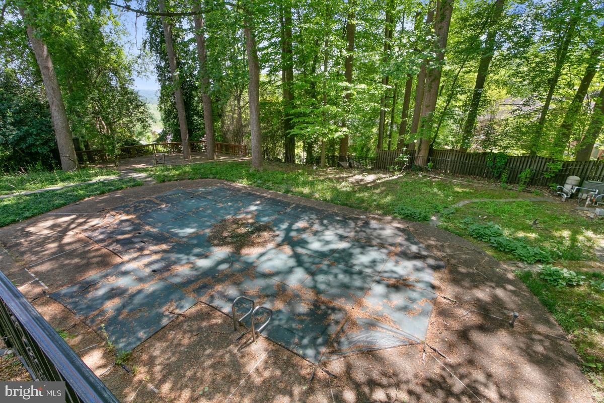 613 Rivercrest Drive McLean, VA 22101 - Photo 8 of 40 a view of backyard with green space